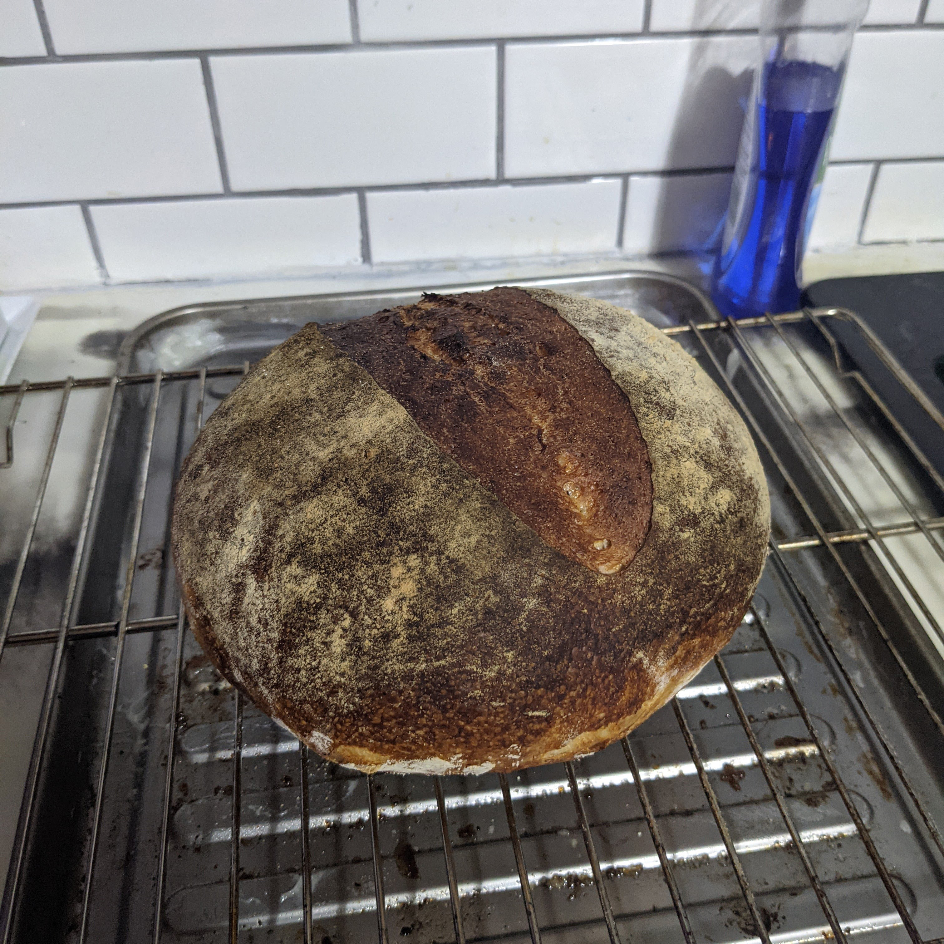 An early loaf in my bread baking journey.